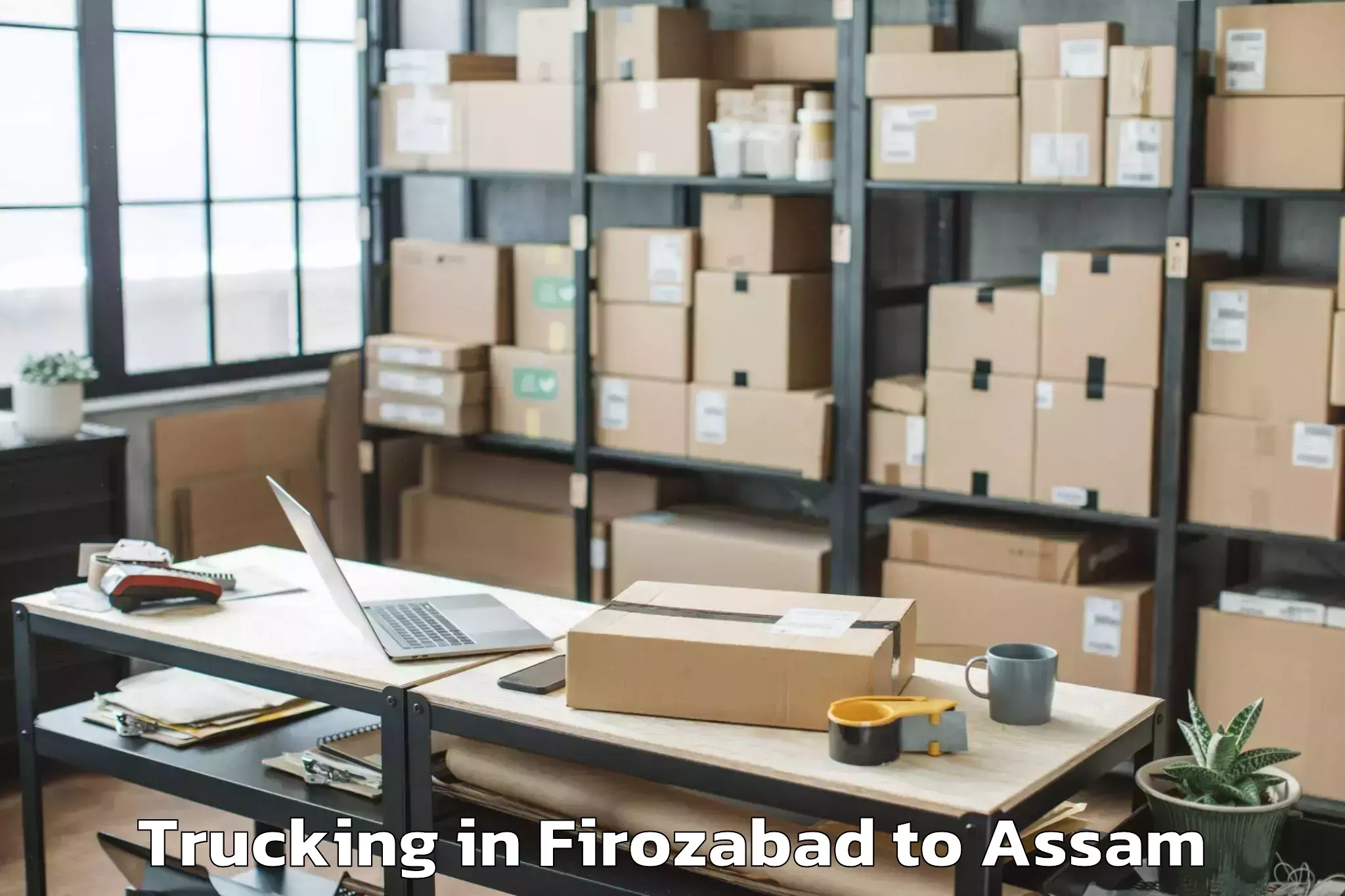 Book Firozabad to Nahorkatiya Trucking